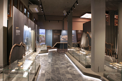 The reopened Petralona Cave and Museum