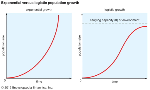 Side-by-side diagram comparing exponential population growth left J-shaped curve and logistic population growth right S-shaped curve approaching carrying capacity K from Encyclopædia Britannica