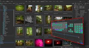 Adobe Bridge Version Oktober 2025 (Version 16.0) 