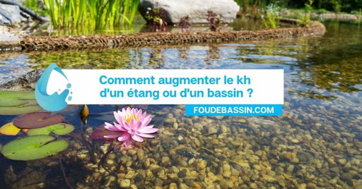 Comment augmenter le KH d’un bassin