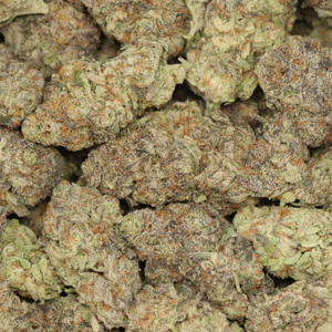 GMO Gush Mints hybrid