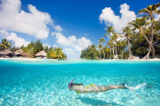Zanzibar snorkeling
