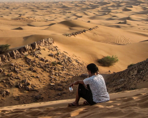 Safári no Deserto