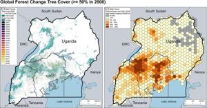 Deforestation and environmental damage