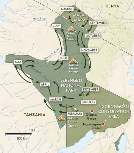 Serengeti Great Migration map
