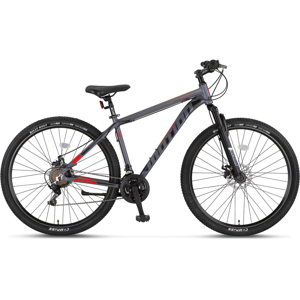 MTB bicikl Motion 29 18 V21 | Pevex