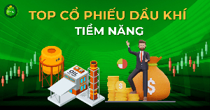 Khám phá Cổ phiếu OIL: Tiềm năng Tăng trưởng và Cơ Hội Đầu Tư