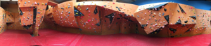 Home - City Lizard | Sint-Niklaas | Bouldergym