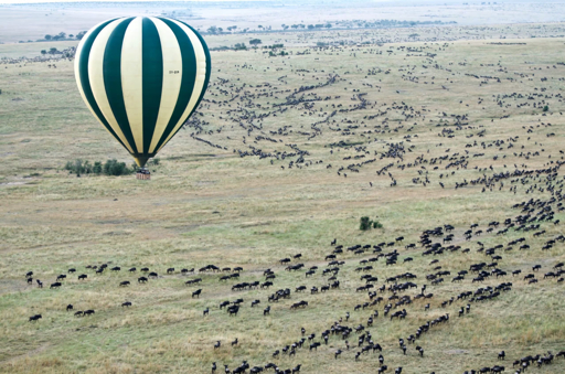 Hot air balloon over a wildebeest herd in the Serengeti