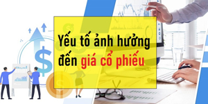 Đánh Giá Cổ Phiếu PTS: Cơ Hội Đầu Tư Hay Rủi Ro?