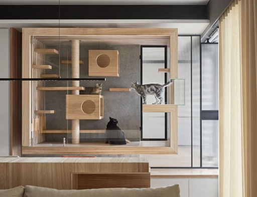 Built-in glass and wood cat enclosure integrated into a modern home