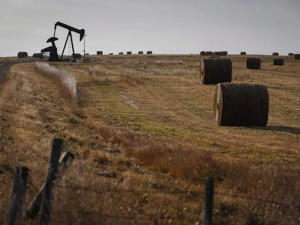 Alberta oilsands land sale earns most in decade as crude ...
