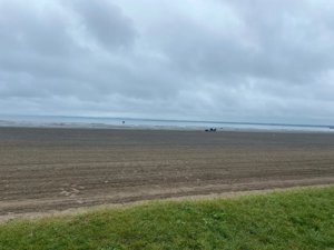 Receding water levels a concern for Gull Lake, Alta ...