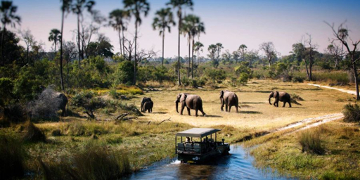 Tarangire safari vehicle