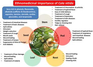 Cola Acuminata - tổng quan | Chủ đề ScienceDirect