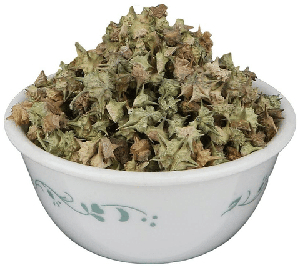 Gokshura