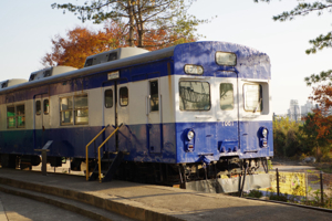 Blue and white train