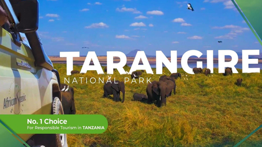 Tarangire elephants and vehicle