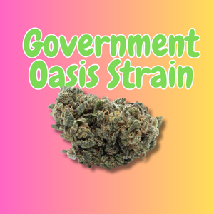 buy GovernMint Oasis online