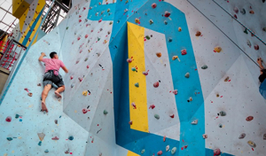 Brussels Monkeys Climbing - Sport.brussels