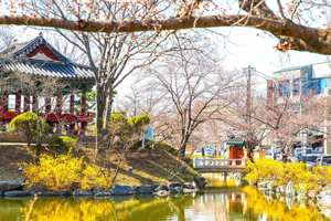 Korean pavilion by cherry lake