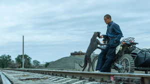 Black Dog di Guan Hu, la recensione del film - Critical Eye