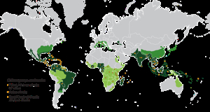 Chikungunya is on the move