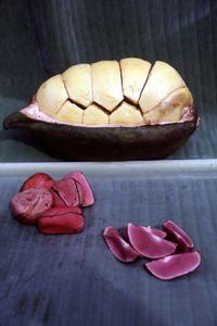 Kola nut – Wikipedia tiếng Việt