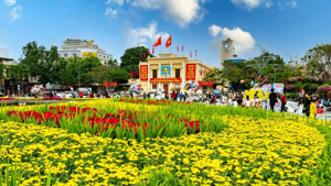 Hải Phòng vào mùa phượng đỏ