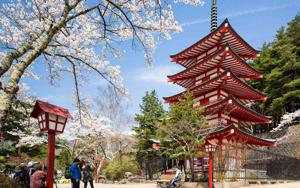 Best Times to Visit Japan