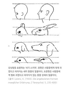 고양이가 귀여웠던 '진짜' 이유 : 네이버 포스트