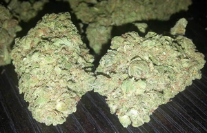 Banana Zplit premium flower 3.5g jar at BayFarmz. Sativa-dominant hybrid (60% sativa/40% indica) with sweet banana, tropical citrus, creamy dessert terps. Uplifting focused high.