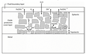PE Exclusive: Sự xuất hiện của các chất tạo màng cho hơi nước ...