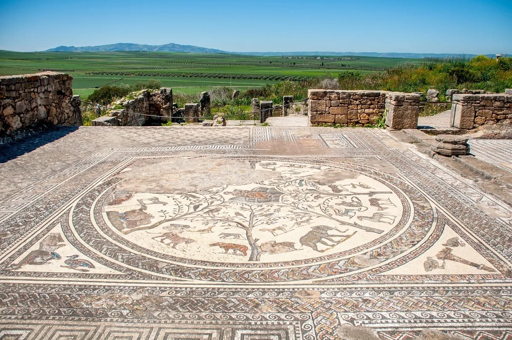 Ancient Roman mosaic floor at Volubilis archaeological site in Morocco