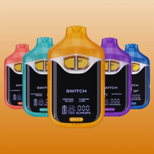 Boutiq Switch V4 vapes