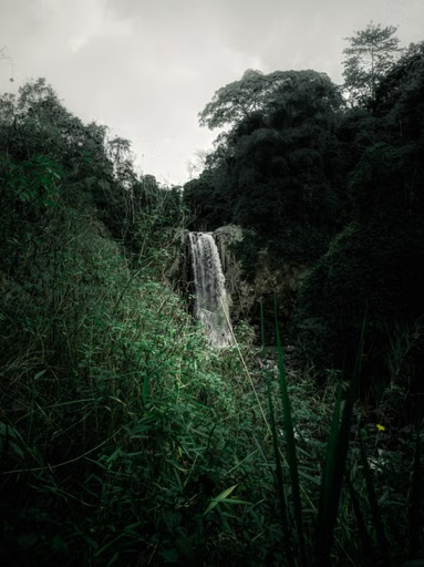 A waterfall flowing down a rocky cliff surrounded by green forest