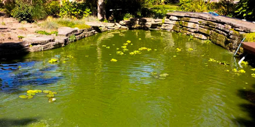 Comment éviter l’eau verte dans un bassin