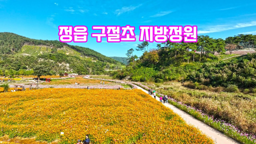 정읍 구절초 지방정원 항공뷰