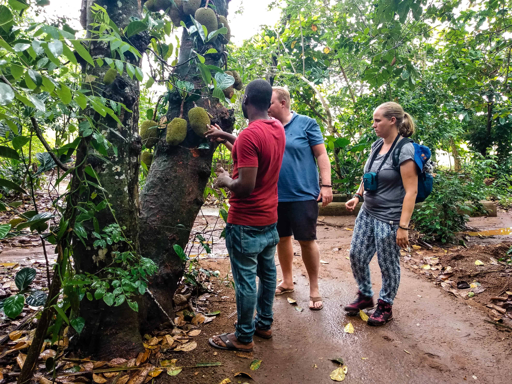 Zanzibar spice farm