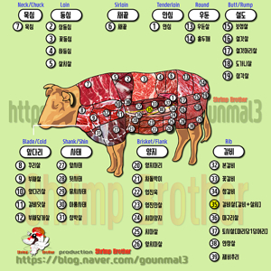 Beef cuts diagram