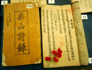 Từ Điển - Từ hiền hòa có ý nghĩa gì