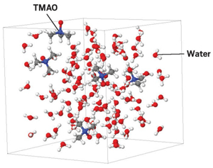 How a chemical protects fish from the extreme pressures of ...