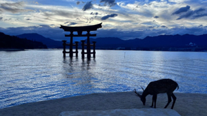Japan Itinerary Hidden Gems and Local Experiences