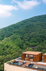 Forest Resort rooftop