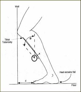 Lunge test diagram