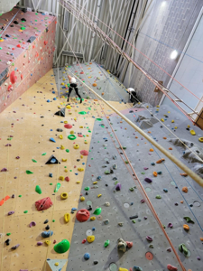 Brussels Monkeys Climbing, Brussels - Brocnbells