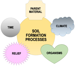 Diagram illustrating the five factors of soil formation: parent material, time, relief, organisms, and climate