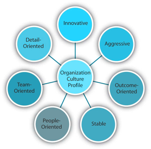 3.3 Frameworks for Assessing Organizational Culture ...