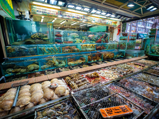 Live seafood market stalls with glass tanks along the Sai Kung waterfront promenade