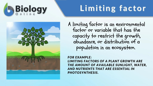 Environmental heterogeneity and clumped dispersion in plants Educational illustration showing limiting factors in plant ecology with tree roots in soil layers sun and clouds demonstrating how environmental heterogeneity creates patchy resources leading to clumped plant dispersion
